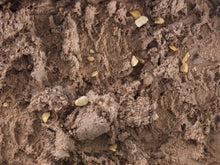 Carrega una imatge al visualitzador de Galeria, Gelat de Bombó d'Avellana - La Gelateria a casa