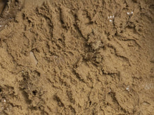 Carrega una imatge al visualitzador de Galeria, Gelat de Cafè - La Gelateria a casa